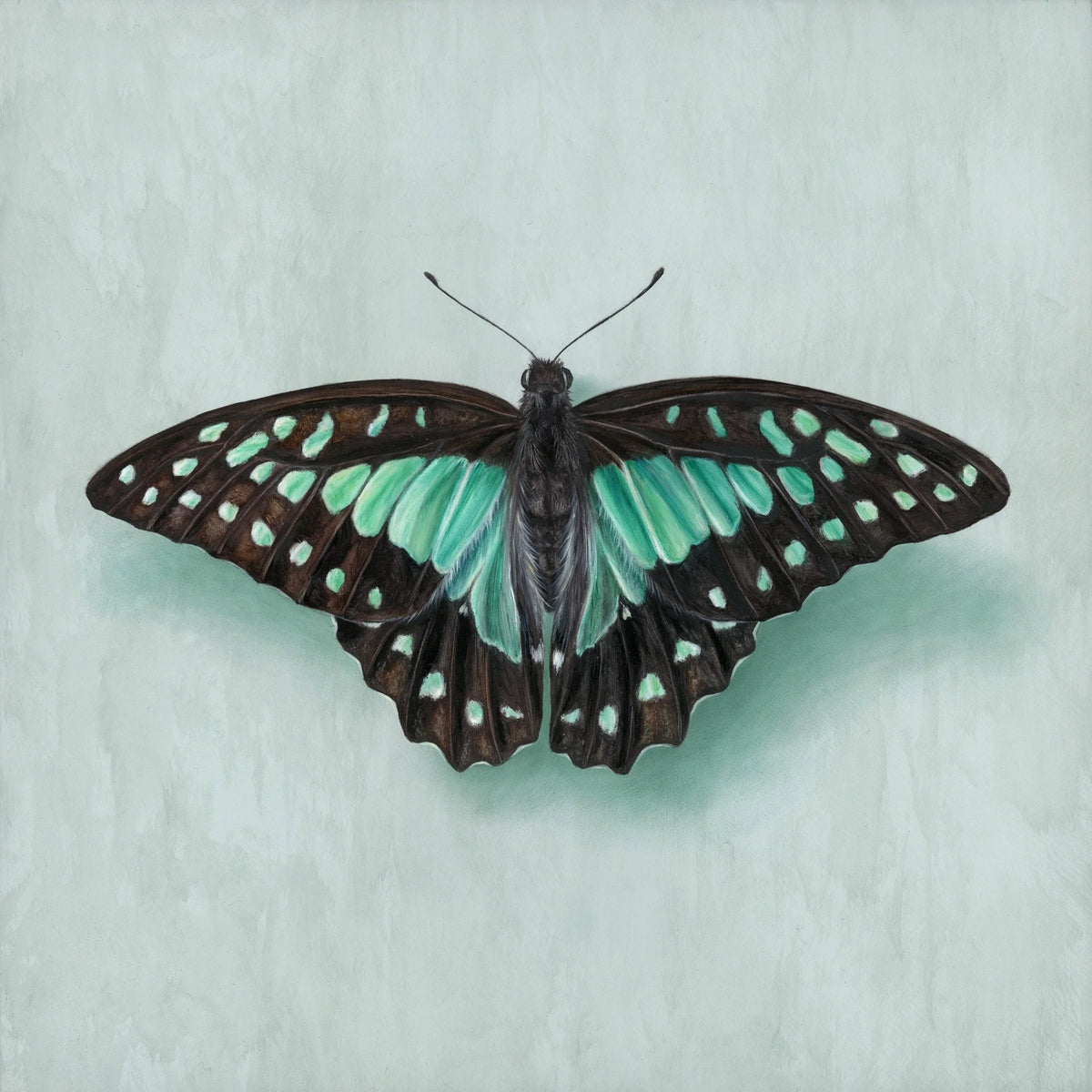 Blue Triangle - Alex Louisa by Alex Louisa