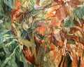 Where Light Gathers - Bronwyn Barton by Bronwyn Barton