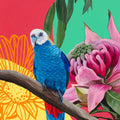 Rosella Amongst the Flowers - Caitlin Lever by Caitlin Lever