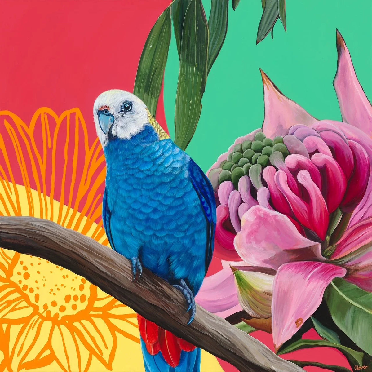 Rosella Amongst the Flowers - Caitlin Lever by Caitlin Lever