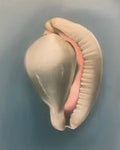 Seashell  Blue- Heidi O'brien by Heidi O'Brien