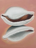 Shell Reflection - Heidi O'brien by Heidi O'Brien