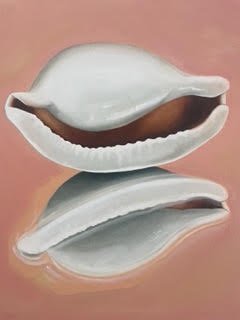 Shell Reflection - Heidi O'brien by Heidi O'Brien