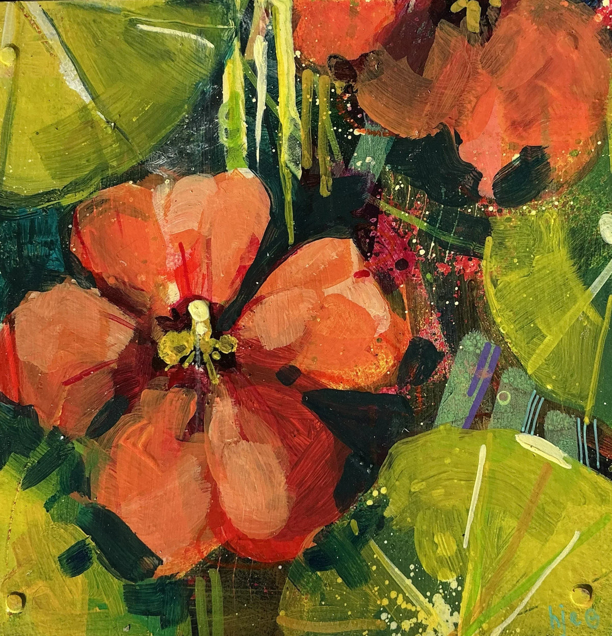 Nasturtium I - Helen Evans by Helen Evans