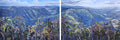 Binna Burra Outlook Diptych - Kate Marek by Kate Marek