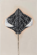 Exploration of Rays #2 - Prudence Coburn by Prudence Coburn