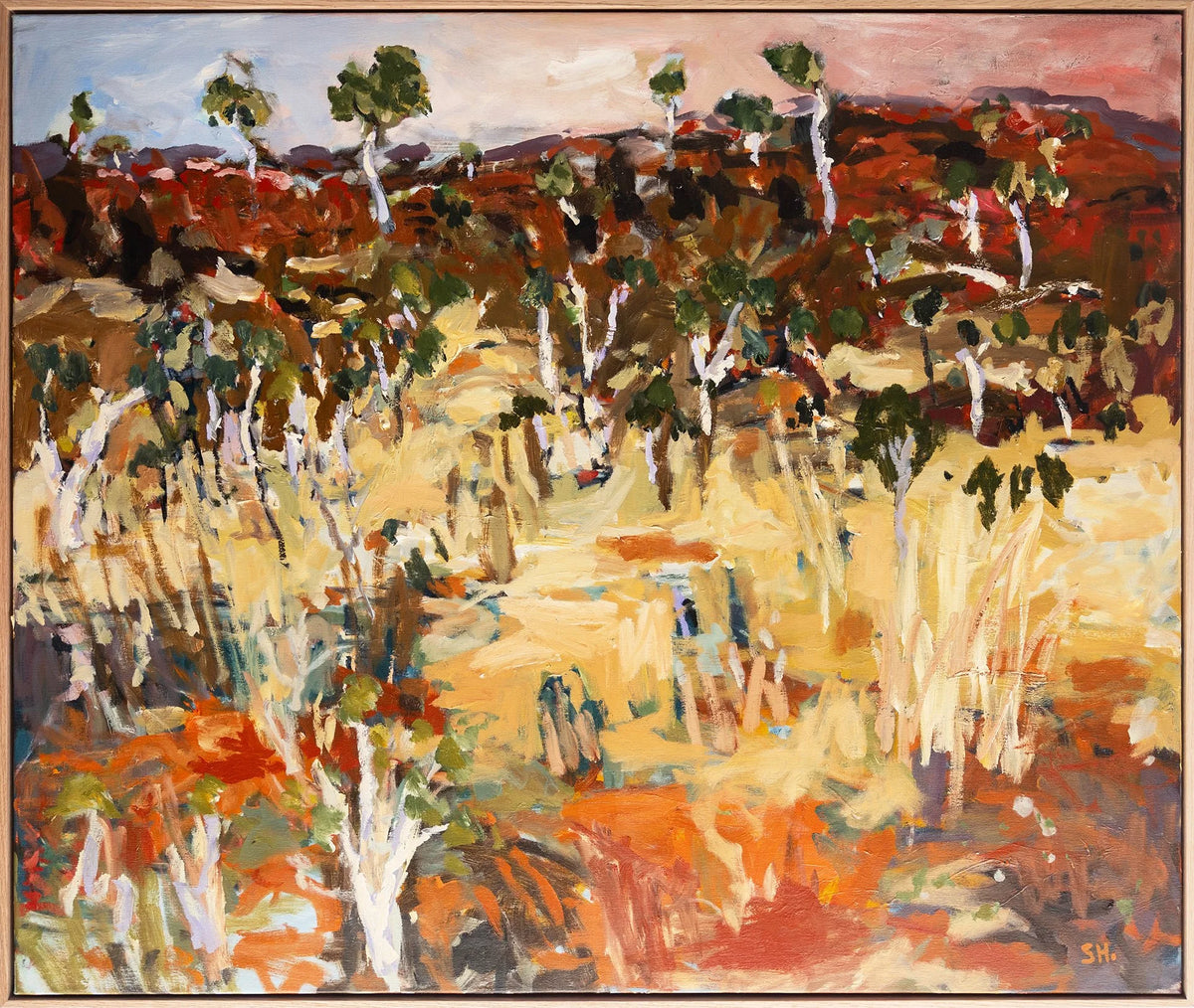 Beyond Kings Canyon - Shane Hastings by Shane Hastings