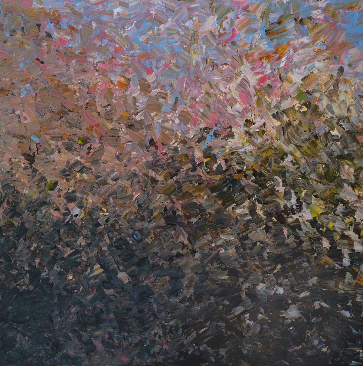 Arkaroola Afternoon - Andrew Hillhouse by Andrew Hillhouse
