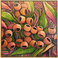 Callistemon Bright - Cath Kerr by Cath Kerr
